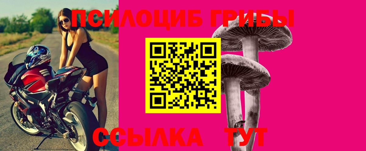 Сосновый Бор  Галлюциногенные грибы Psilocybe  Вход с VPN  Галлюциногенные грибы Magic Shrooms 